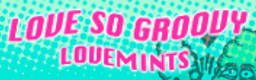 LOVE SO GROOVY banner