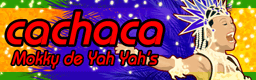 cachaca banner